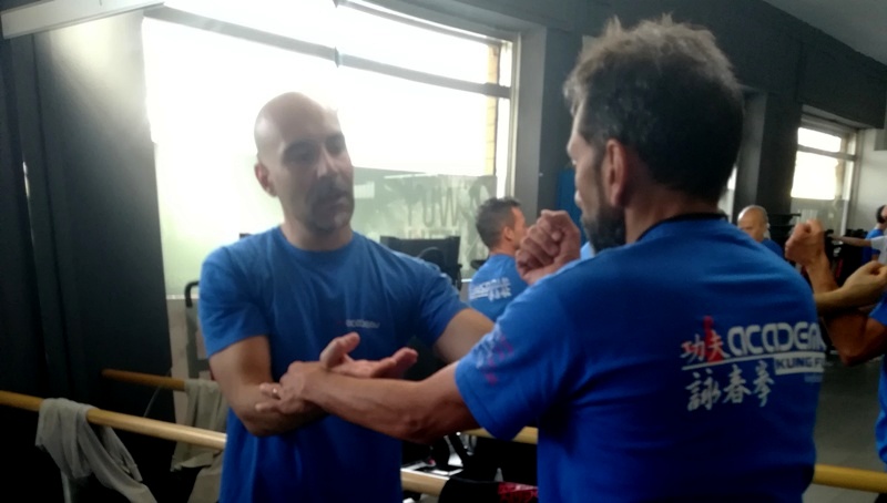 Kung Fu Caserta Wing Chun Lazio Italia con Sifu Mezzone e Antonio Micheli wing tjun wing tsun sanda tai chi taiji kungfuitalia arti marziali frosinone (1)